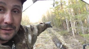 По этой дороге ходят все звери. Установил фотоловушку BolyGuard-310 в нужном месте.