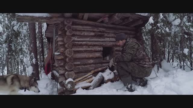 Поход к лесной избе на лыжах.❄