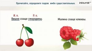 Родительный падеж имени существительного  Русский язык 4 класс #30  Инфоурок