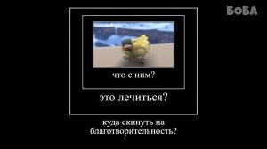 ПОПРОБУЙ НЕ ЗАСМЕЯТЬСЯ #1 ФИКСИКИ — Видео от боба