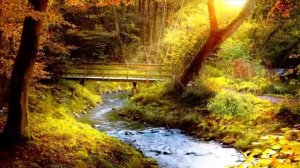 Музыка Сергея ЧекалинаСамая красивая музыка на свете @musicrelax9029