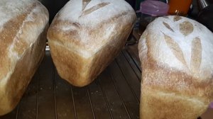 Печем хлеб дома на закваске.