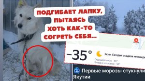СРОЧНО! ЯКУТСК, -40°C! ДВЕ ЖИЗНИ В ОПАСНОСТИ!