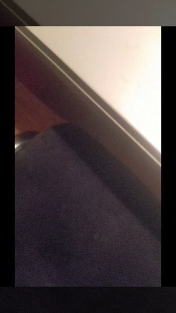 бож как я долго дисклеймер писа́л