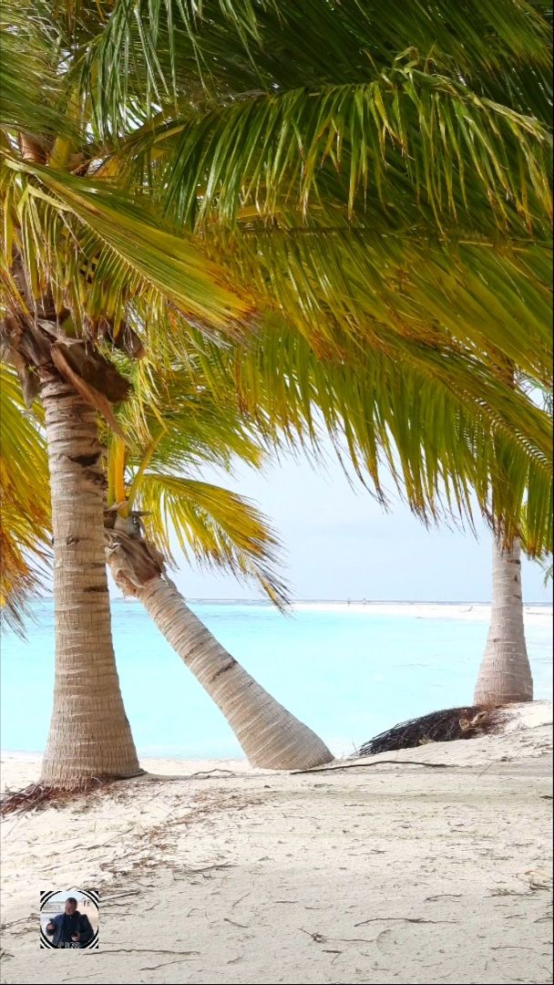 Дождливый день, остров Мееру, Мальдивы 2025 #мальдивы #мальдивы2025 #maldives #maldives2025 #shorts