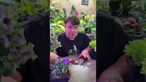 САМЫЙ ЛУЧШИЙ САДОВЫЙ ИНСТРУМЕНТ ПРЯМИКОМ ИЗ ЯПОНИИ ТОЛЬКО ДЛЯ ВАС.