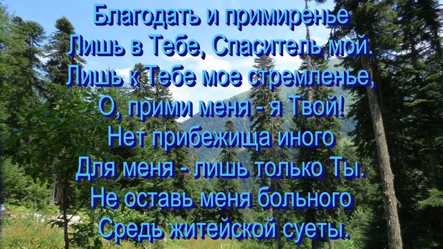 Иисус, души Спаситель,  общее пение  30.11.2025