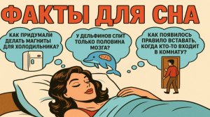 Ответы на вопросы, которые приходят перед сном: удивительные факты для быстрого сна