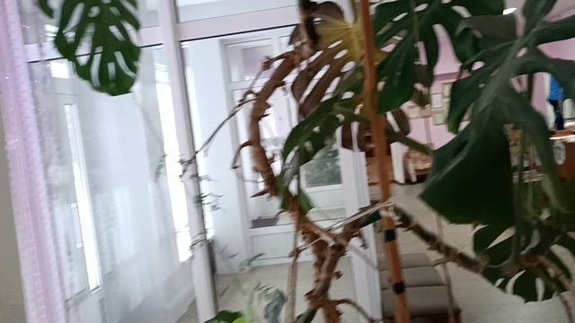 Готовимся к новому году