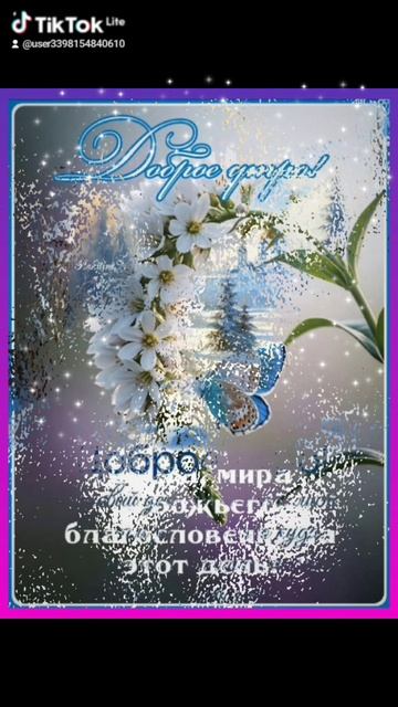 01-12-2025 С добрым зимним утром!🌲 смотреть онлайн