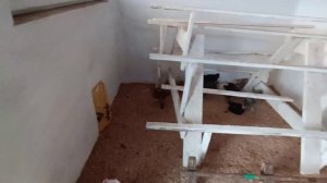 Перевели цыплят🐥🐤 Делаю подушки🦢 Борюсь с травой 🌿Жизнь в своем доме🏠