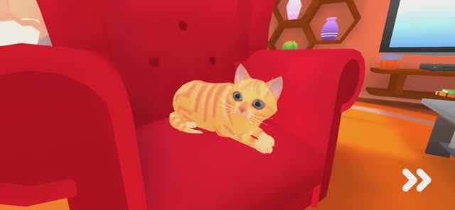 Кот и Бабка