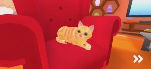 Кот и Бабка