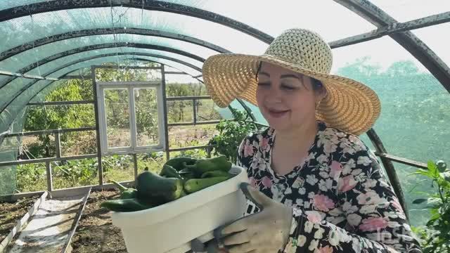 🏠 ПОСАДИЛА ЧЕСНОК/ собрали последний УРОЖАЙ 🍆 РАБОТАЕМ дома // приготовила ОБЕД на скорую руку 🥘