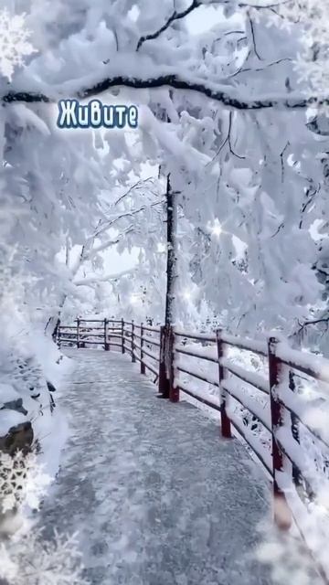 Зимушка- зима! С первым днём зимы. Самая лучшая музыкальная открытка.