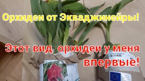 Новинки от поставщика из Эквадора!