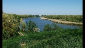 Азовское море и его обитатели