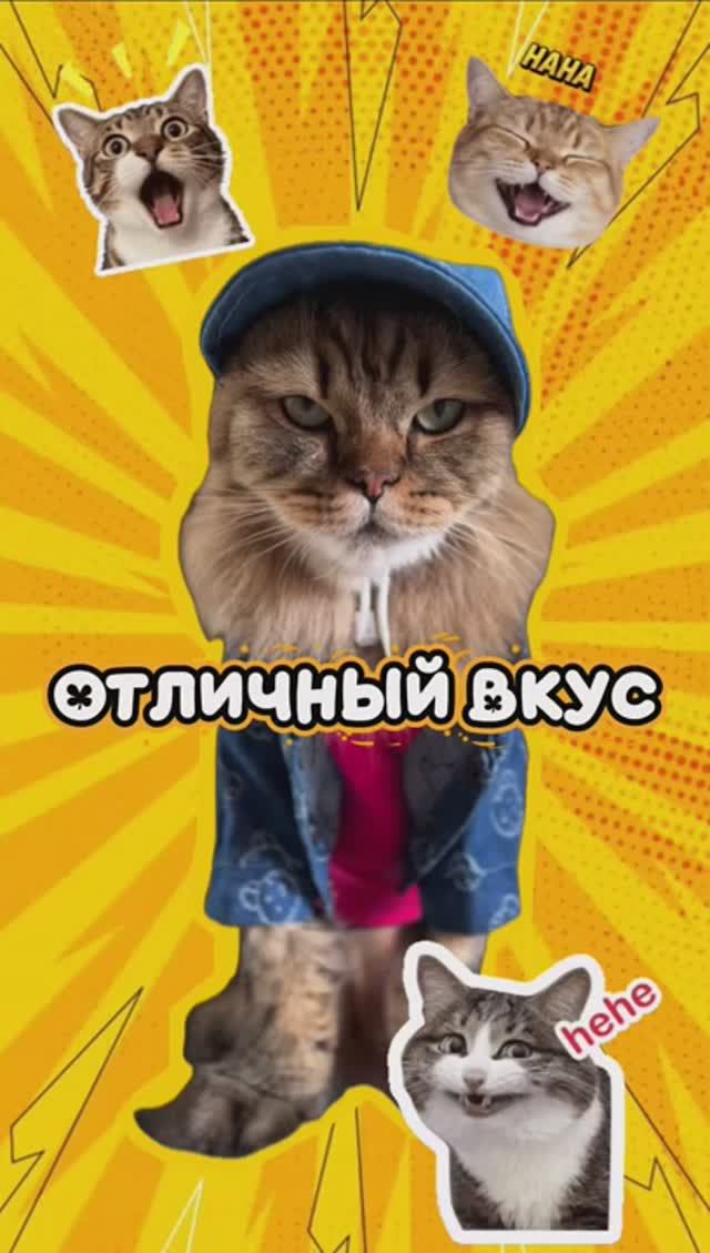 Наградил Бог вкусом😎😹 #котики #юмор #животные