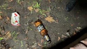 ЛЕВ ПРОТИВ - УСТРОИЛ ДPAKУ И БЫКУЕТ НА ПОЛИЦИЮ.mp4