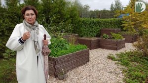 Видео журнал «Сады в отличной форме №66»  Сад Ирины Сахаровой. Знакомство продолжается!