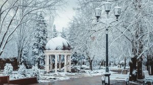 УТРЕННЯЯ ПОЧТА ! ДОБРОЕ ЗИМНЕЕ УТРО! 2 МАНДАРИНКИ И 3 ШЕБЫ,МИНИМАЛИЗМ!