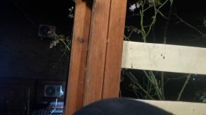 СОЧИ ГОРНОЕ ЛОО УТРО 01.12.2025