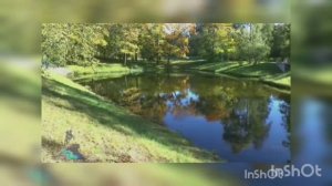 Ирина Калашникова -Волшебство октября- исп автор