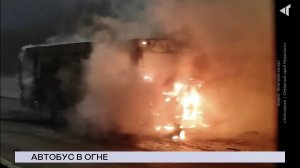 НОВОСТИ СЕВЕРНОГО ГОРОДА, 01.12.2025