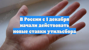 В России с 1 декабря начали действовать новые ставки утильсбора