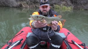 ЗАКРЫТИЕ ОСЕННЕГО СЕЗОНА РЫБАЛКИ НА ЩУКУ. Плотва на фидер .