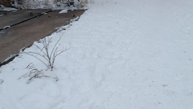 Снегу навалило,не иначе зима наконец то началась