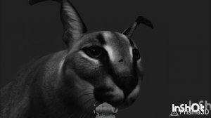 аура шлёп💀