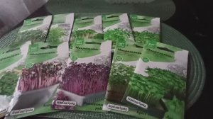 К посадке микрозелени готова. Обзор семян микрозелени