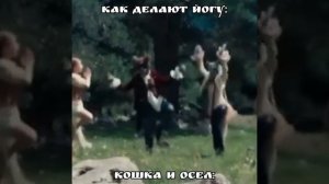 НЕ НУ РИЛ😔