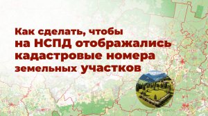 Как посмотреть кадастровые номера земельных участков на НСПД