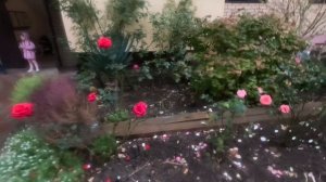 1.12.25.Началась зима. Анапа.