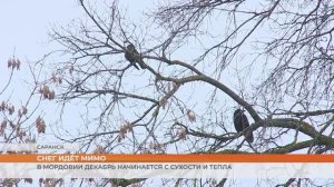 В Мордовии декабрь начинается с сухости и тепла