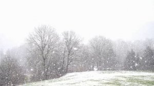 Белый шёпот.