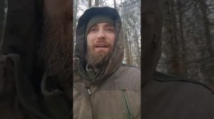 Как вы готовите лосиную губу?