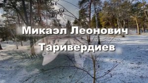Новогоднего настроения! Микаэл Таривердиев, Мелодия из фильма «Ирония судьбы, или с лёгким паром