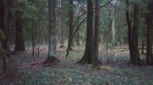 Некоторые случаи выживания в моей жизни