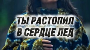 Dj Alexander Demin  - Ты растопил в сердце лед