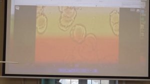 Почему йога не спасает? И что делать на самом дел?