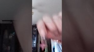 VID_20251126_144604.mp4