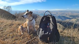 В Урочище по шакальим тропам.