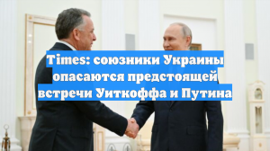 Times: Союзники Киева боятся итогов встречи Путина и Уиткоффа в Москве