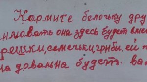 Всех с первым днем зимы!