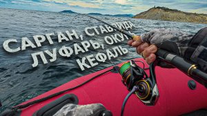САРГАН, СТАВРИДА, ЛУФАРЬ, ОКУНЬ, КЕФАЛЬ - РЫБАЛКА С ЛОДКИ по морю за рыбой