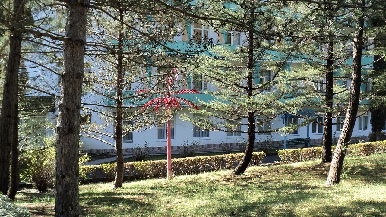 санаторий Сосновый город Туапсе 2 в бассейн