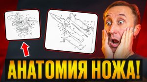 АНАТОМИЯ СКЛАДНОГО НОЖА!